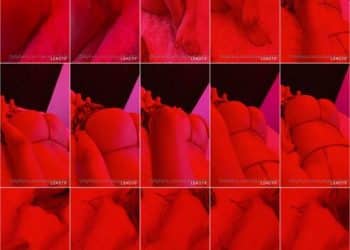 Alejandra trillo sexy en la cama